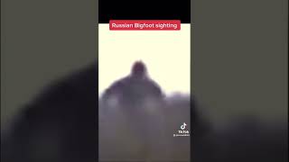 Russian Yeti -47