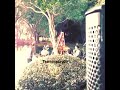 "Autumn Leaves" - Chris Brown Ft Kendrick Lamar (Snippet)