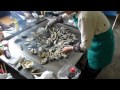 かき焼 鎌倉本家まるか かき焼 鎌倉本家まるか