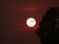 Beseech - Sunset 28