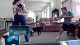 Brandon And His Mom Fight Must Watch More Bga