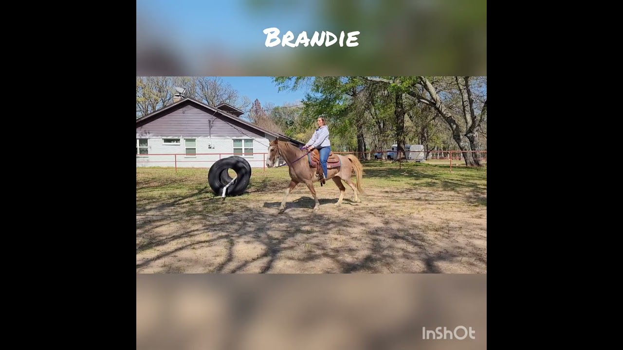Brandie