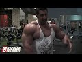 bodybuilding arm routine