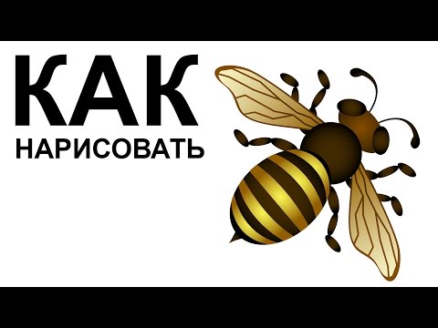 Рисунки пчелы карандашом для детей Пчелка картинки, рисунки и фото для детей