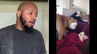 Your butt shouldn’t smell so bad that dogs can’t take it