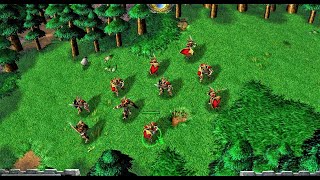 Warcraft 3 Versus - 10 Blood Elf Lieutenants Vs 20 Ne & Ud Spellcasters - Full Upgrades
