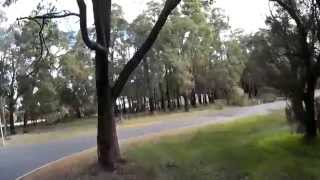 Drq 250 Mini-D High Speed Backyard Bash