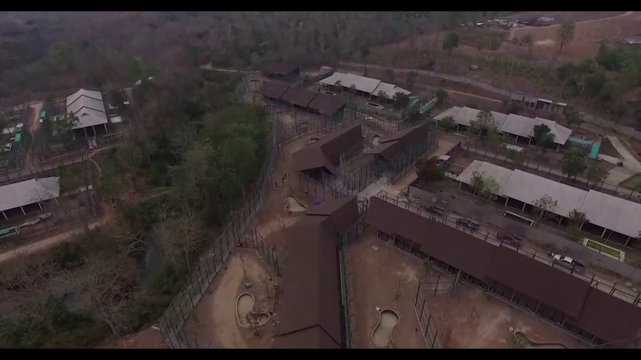 New Enclosure Progress - Tiger Kingdom Learning Center - Mae Taeng