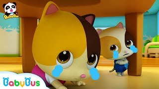 Keluarga Bayi Kucing & Bayi Panda | Kumpulan Film Anak | Bahasa Indonesia | BabyBus