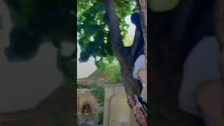 Ngintip Cd