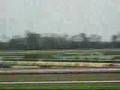 【競馬】第38回高松宮記念(38th Takamatsunomiya Kinen)