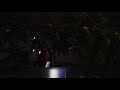 Unexplained Bonsai II — A Student Film