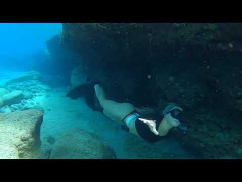 Turtle Photo Bombs Video In Hawaii