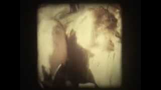 Watch Sonic Youth Creme Brulee video