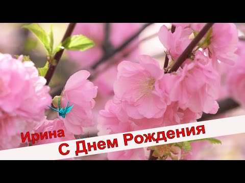 Поздравить друга с днём ввс Поздравить друга с днём ввс