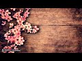 Jazz & Bossa Nova Music - Relaxing Cafe Music - Music For Relax, Work, Study
