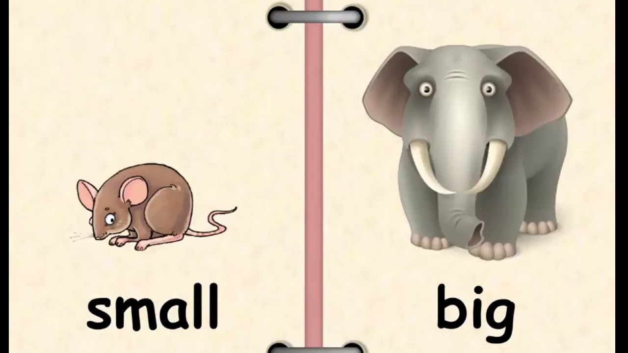 Small vs tall pictures