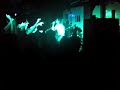 Animal Nitrate- Suede 100 Club
