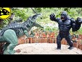 KingKong vs Giganotosaurus (Dinosaur fight!)