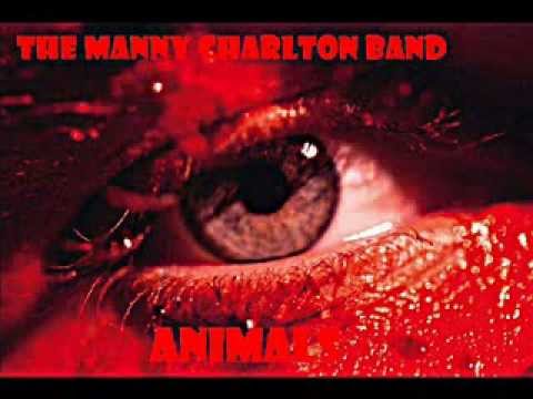 Animals Video