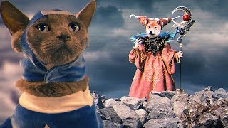 Mighty Morphin Meower Rangers | Ep 2 – Trick or Treat