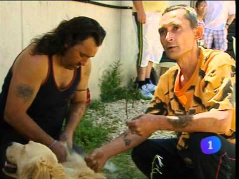 INFORME SEMANAL Terapia en Prisión Villena 2011.wmv
