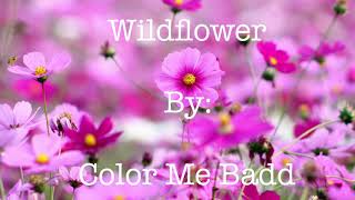 Watch Color Me Badd Wildflower video