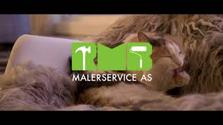 RMB Malerservice - Katt
