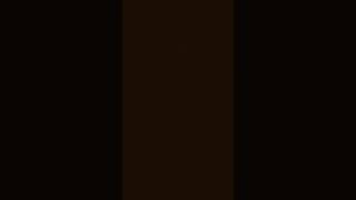 10 October 2025