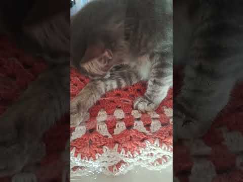 Destaque de Socorro croché e vlogs está ao vivo! ajudar nas horas ❤️.: 31:07 - 36:07 Destaque de Socorro croché e vlogs está ao vivo! ajudar nas horas ❤️.: 31:07 - 36:07