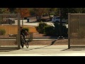 KINK BMX - On the Road with Chad Osburn and Friends