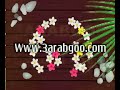 الرد علي وكر العصفورمن زب الفرعون المصري سيدكوا