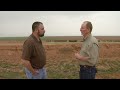 Herbicide Use in Cotton (Web Only, 4/27/13)