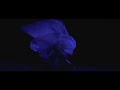 Raw Footage Jody Sperling improvising a la Loie Fuller