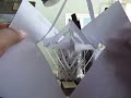 3 - Amazing Twisting Pop Up! Made Out Of Paper!