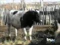 http://hotport.com.ua видео ха-ха