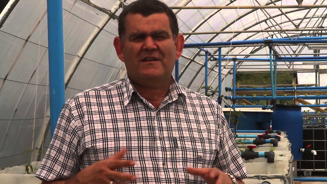 Aquaponics research will feed the poor of Stellenbosch ...