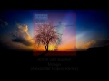 Видео Armin van Buuren - Mirage (Alexander Popov Remix).avi