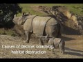 World's Most Endangered Species