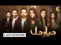 Diyar e Dil Last Episode HUM TV Drama