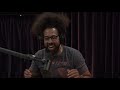 Joe Rogan on the Disneyland Fight Video
