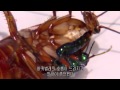 진화, 생존을 위한 변화 - 독액(Venom)