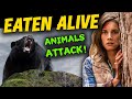 Top 10 BEST "Animals Attack" HORROR MOVIES