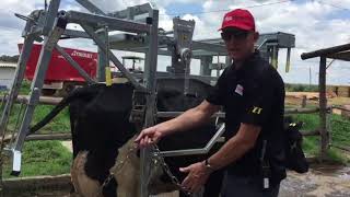 Hoof Trimming With the Correct Equipment