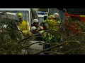 Australia Storm High Winds Trap Couple After Tree Falls On images Australia Storm High Winds Trap Couple After Tree Falls On