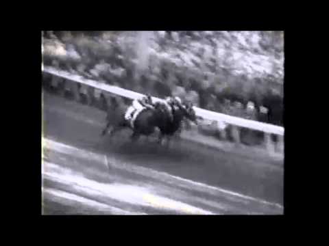 Ranker Video