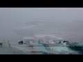 Norwegian Star Crashes into Explorer in Bermuda