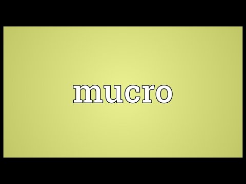 Header of mucro