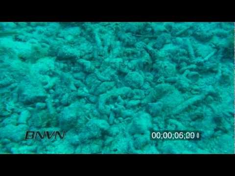 12/11/2009 HD Stock footage of dead coral reefs