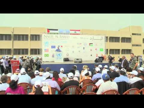 Schools In Palestine